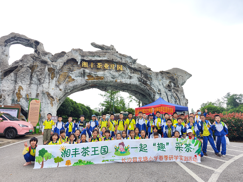 “湘豐茶業(yè)莊園游客持續(xù)暴漲”第九屆茶文化旅游節(jié)后迎來第一波高峰！